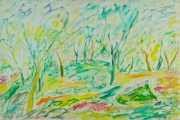 31. Person on Rock in Forest.